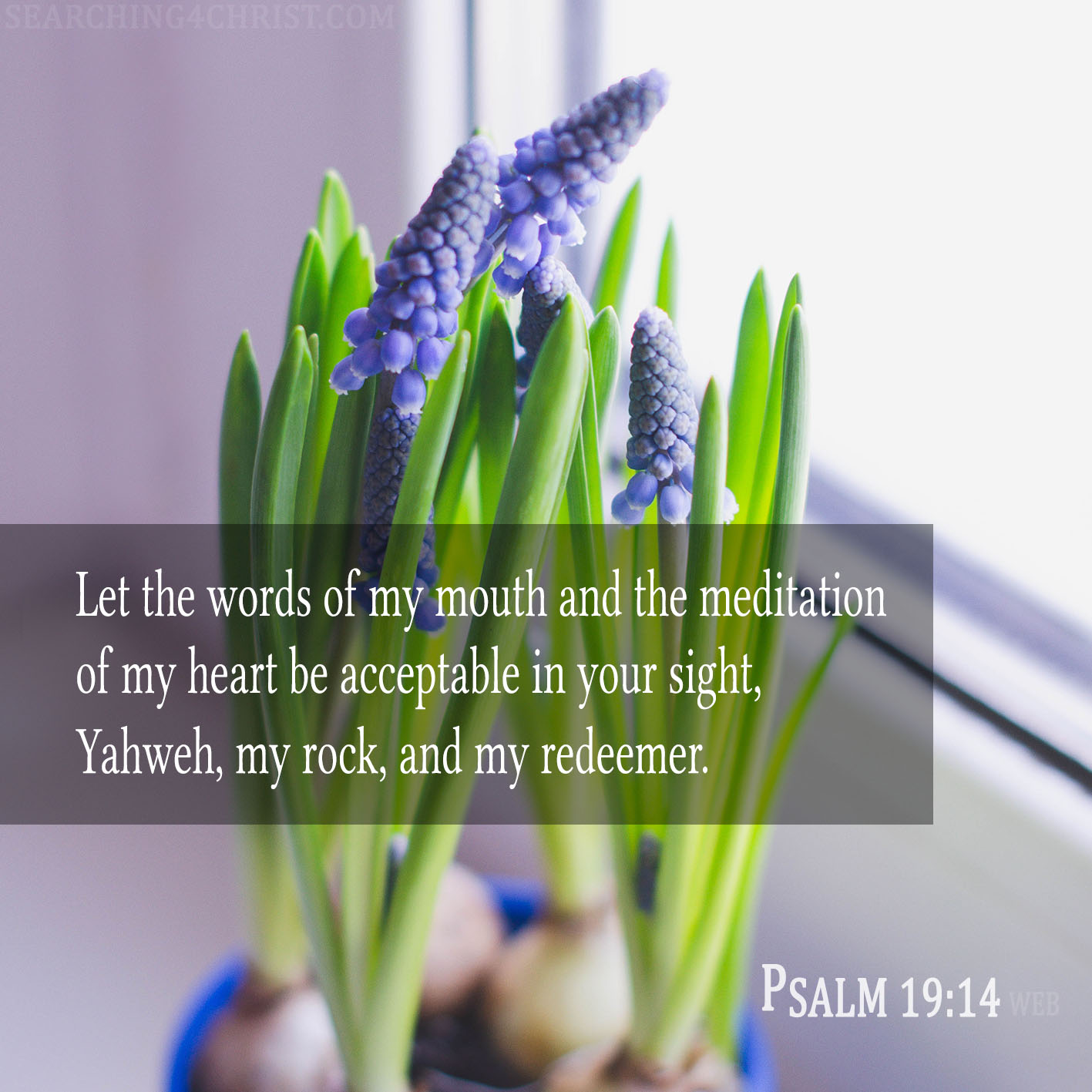 Let the words of my mouth and the meditation of my heart be acceptable in your sight, Yahweh, my rock, and my redeemer. Psalm 19:14
